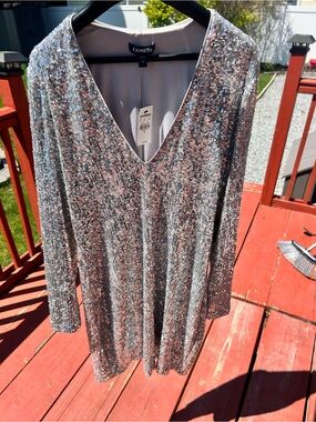 Express Silver Sequin V-Neck Long Sleeve Tunic Dress